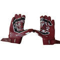 South Carolina gloves