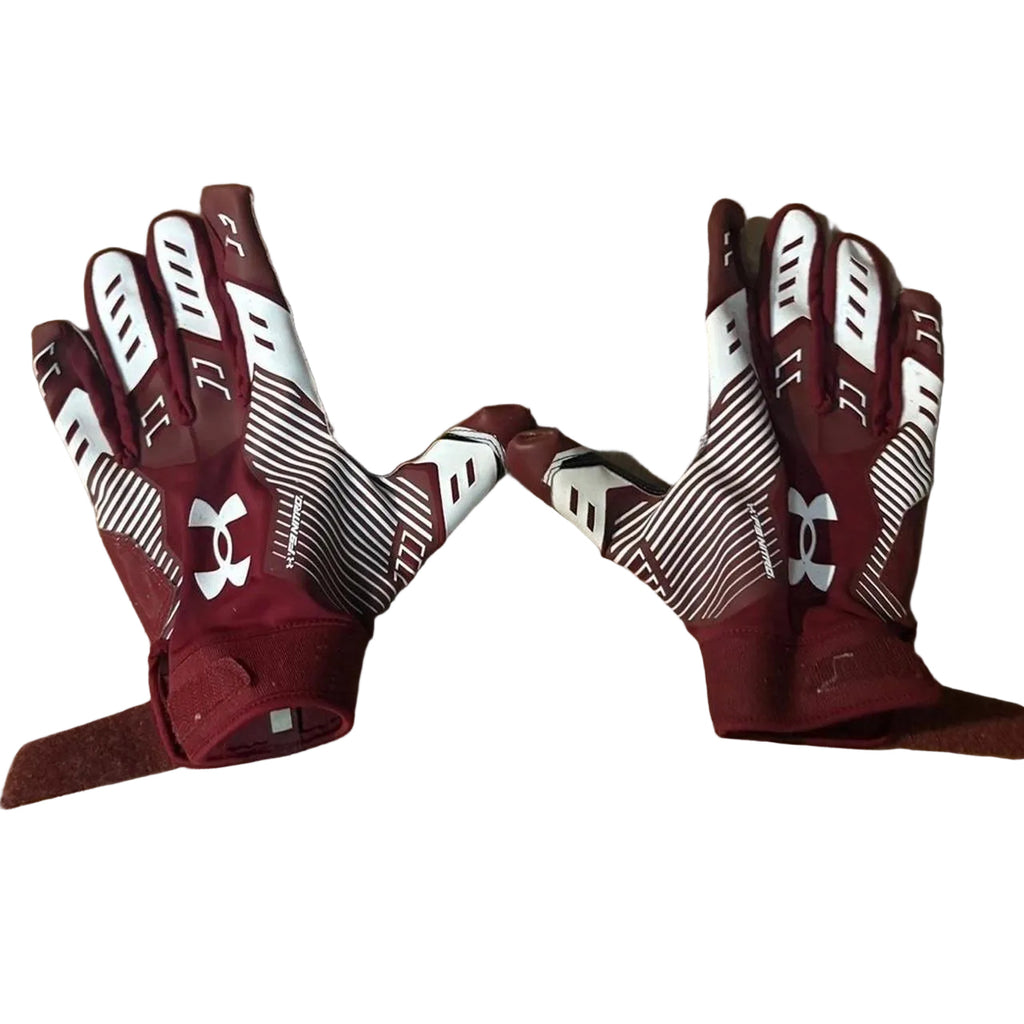 South Carolina gloves