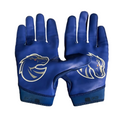 Boise state gloves