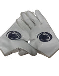 Penn state gloves